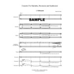 Concerto for Marimba, Percussion and Synthesizers by Daniel McCarthy