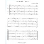 The Turtle Waltz by Christopher Fellinger