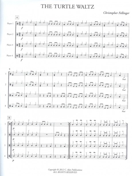 The Turtle Waltz by Christopher Fellinger