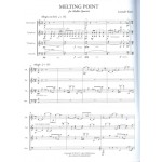 Melting Point by Leander Kaiser