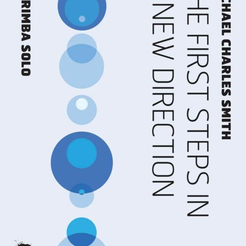 The First Steps in A New Direction by Michael Charles Smith