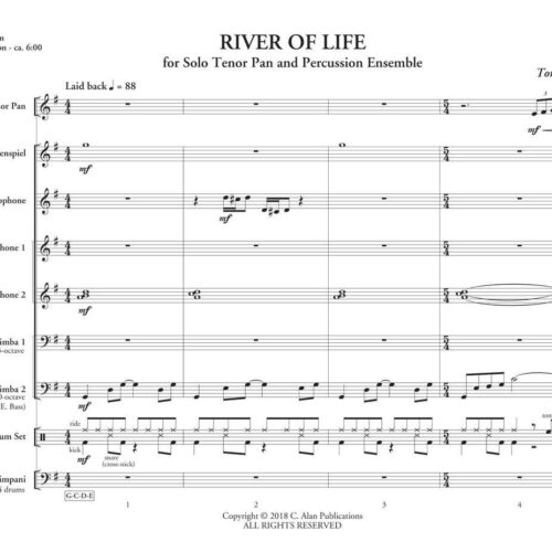 River of Life by Tom Morgan