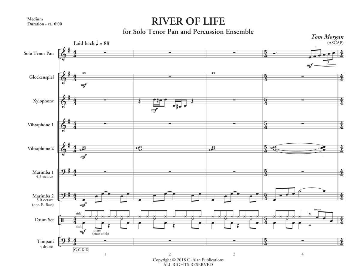 River of Life by Tom Morgan