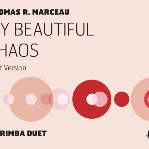 My Beautiful Chaos by Thomas R. Marceau
