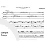 My Beautiful Chaos by Thomas R. Marceau