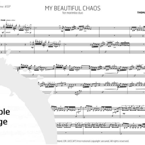 My Beautiful Chaos by Thomas R. Marceau