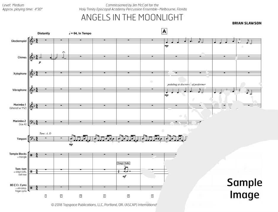 Angels in the Moonlight by Brian Slawson