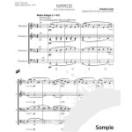 Nimrod from Enigma Variations arr. Michael Charles Smith