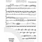 Sonata Semplice by Mozart arr. Daniel Lesieur