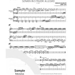 Sonata in D Major - Allegro K. 119 by Scarlatti arr. Neeraj Mehta