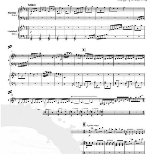Sonata in D Major - Allegro K. 119 by Scarlatti arr. Neeraj Mehta