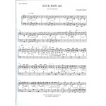 Kick-Box 261 by Leander Kaiser