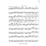 Partita in D Minor by Ed Hartman