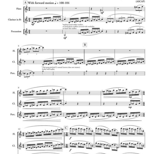 Trio for Flute, Clarinet, and Percussion by Joe Moore III