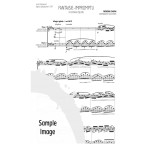 Fantaisie-Impromptu by Chopin arr. Alex Stopa