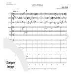 Soca Polka by Brian Slawson