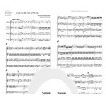 Eine Kleine Nachtmusik by Mozart arr. Mark Hunter