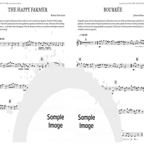 Mainstream Mallets by Jason Hammond-Wood