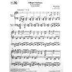 Allegro Barbaro by Bartok arr. Martin Oprsal
