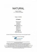 Natural by Imagine Dragons arr. Christoph Bergen