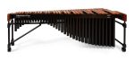 M1: Izzy Frame - 5 oct Basso Bravo Resonators and Premium Keyboard