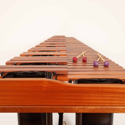 M1: 3100 series - 5 oct Basso Bravo Resonators and Enhanced Keyboard