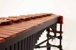 M1: 3100 series - 5 oct Basso Bravo Resonators and Enhanced Keyboard