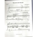 Walking Left Handed by Casey Cangelosi