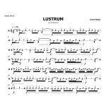 Lustrum by David Nadin