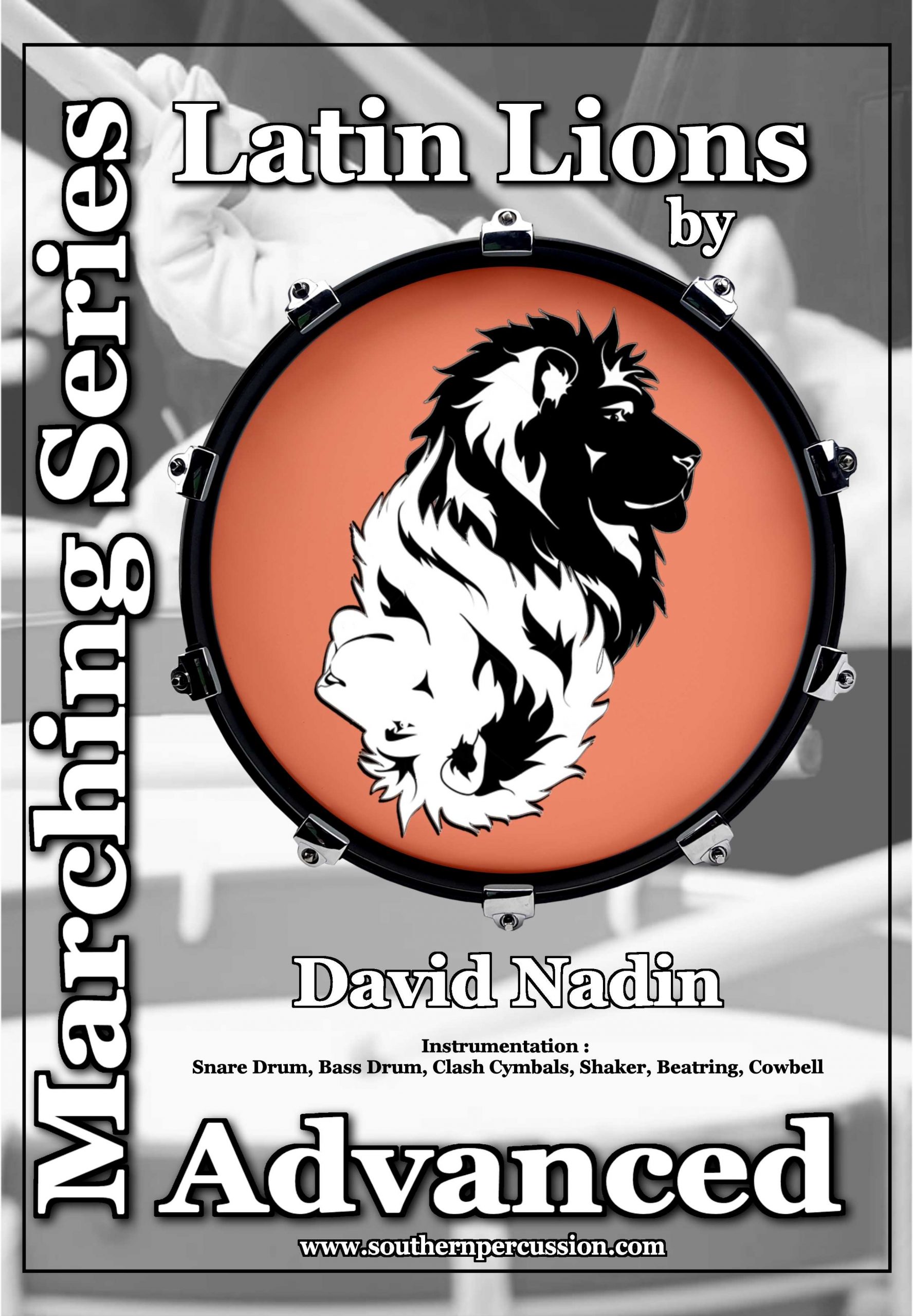 Latin Lions by David Nadin