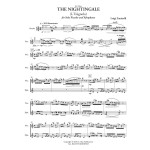 The Nightingale by Luigi Zaninelli