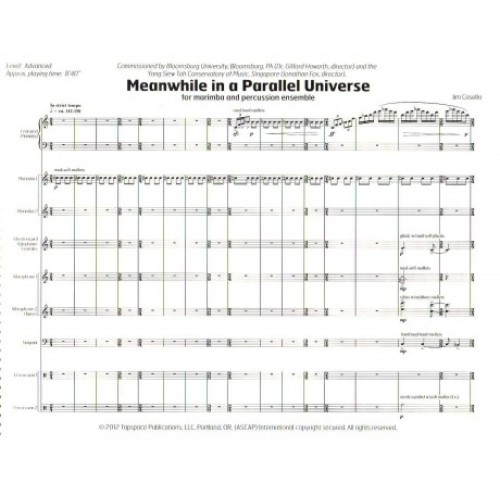 Meanwhile in a Parallel Universe by Jim Casella