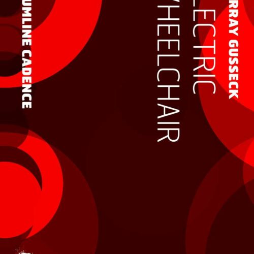 Electric Wheelchair by Murray Gusseck