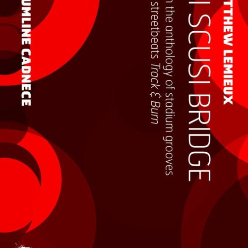 Mi Scusi Bridge by Matthew Lemieux