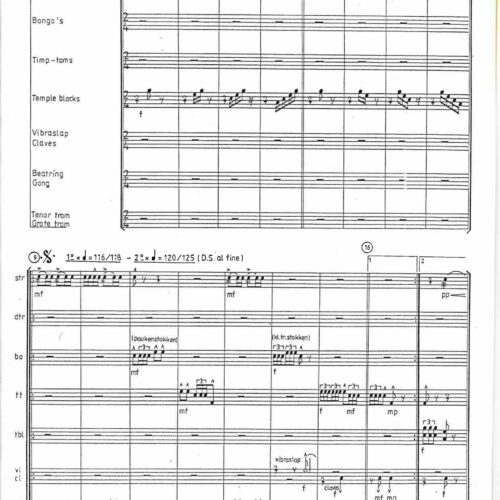 Musica Nova by N. Brands