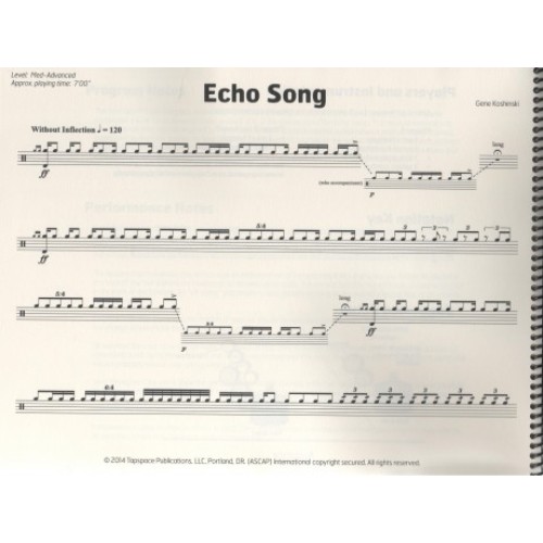 Echo Song by Gene Koshinski