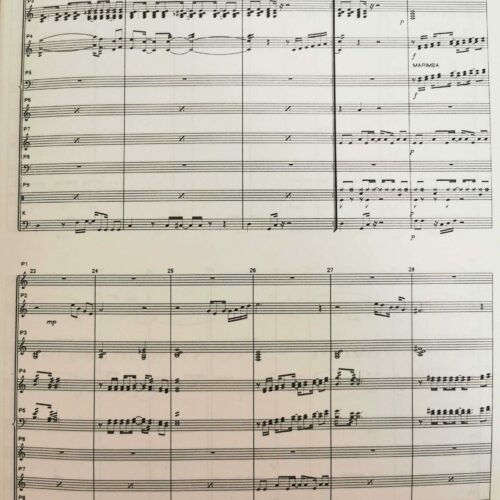 Percussion Fever for Percussion Ensemble by Dirk van Goubergen