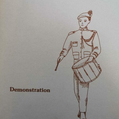 Demonstration by Eric Crauwels