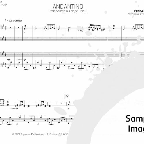 Andantino from Sonata in A Major D959 by Schubert arr. Adam Bruce