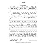 Storm by Cy Miessler