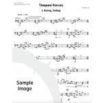 Timpani Forces by Mendel Lee