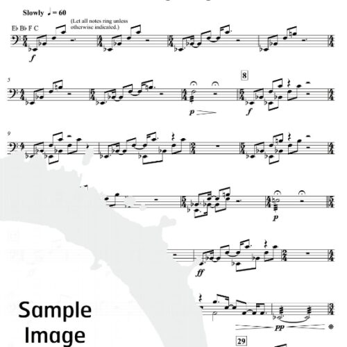 Timpani Forces by Mendel Lee