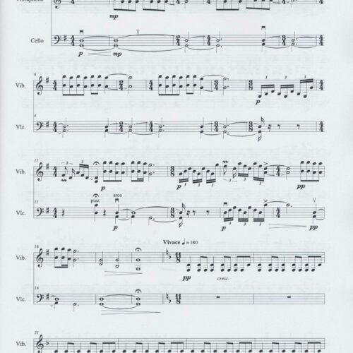Two Pieces for Vibraphone and Cello by Andrei Pushkarev