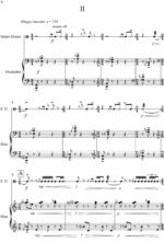 Suite Concertante for Snare Drum and Marimba by David Hext