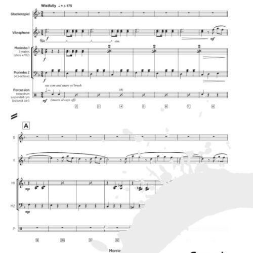 Married Life by Giacchino arr. Alex Stopa