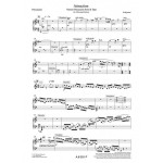 Attraction Solo by Emmanuel Sejourne