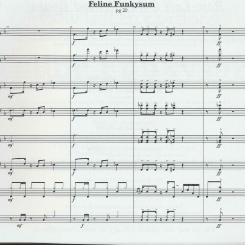 Feline Funkysum by Chris Brooks