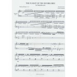 The Flight of the Bumblebee by Rimsky-Korsakov arr. Claudio Santangelo.