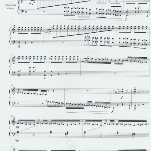 The Flight of the Bumblebee by Rimsky-Korsakov arr. Claudio Santangelo.