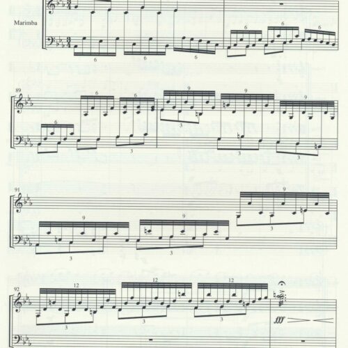 Concerto for Marimba and Strings (3 movements) Score by Emmanuel Sejourne